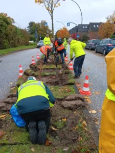 Das Bild zeigt eine Gruppe von Menschen mit gelben Westen oder anderer auffälliger Kleidung, die an einem Grünstreifen mitten in einer öffentlichen Straße Pflanzen einsetzen und gärtnern.