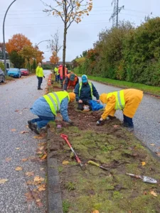 Das Bild zeigt eine Gruppe von Menschen mit gelben Westen oder anderer auffälliger Kleidung, die an einem Grünstreifen mitten in einer öffentlichen Straße Pflanzen einsetzen und gärtnern.