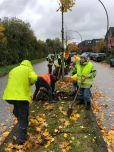 Das Bild zeigt eine Gruppe von Menschen mit gelben Westen oder anderer auffälliger Kleidung, die an einem Grünstreifen mitten in einer öffentlichen Straße Pflanzen einsetzen und gärtnern.
