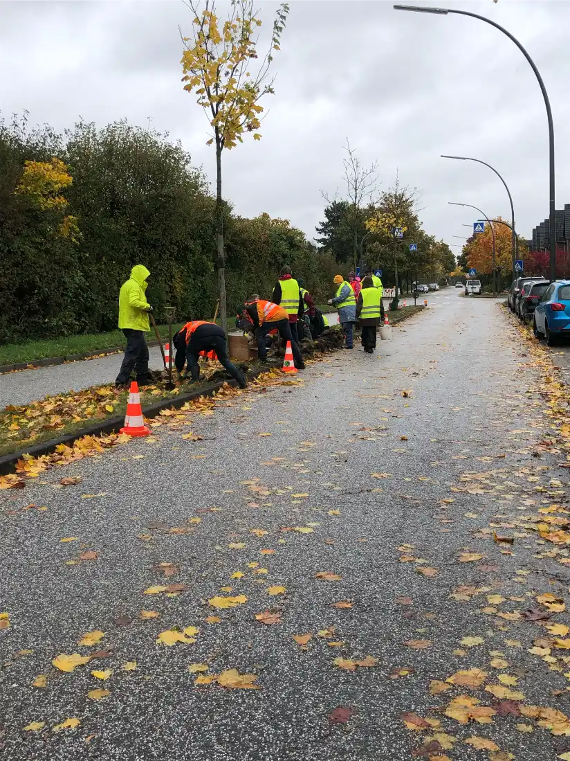 Das Bild zeigt eine Gruppe von Menschen mit gelben Westen oder anderer auffälliger Kleidung, die an einem Grünstreifen mitten in einer öffentlichen Straße Pflanzen einsetzen und gärtnern.