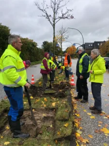 Das Bild zeigt eine Gruppe von Menschen mit gelben Westen oder anderer auffälliger Kleidung, die an einem Grünstreifen mitten in einer öffentlichen Straße Pflanzen einsetzen und gärtnern.